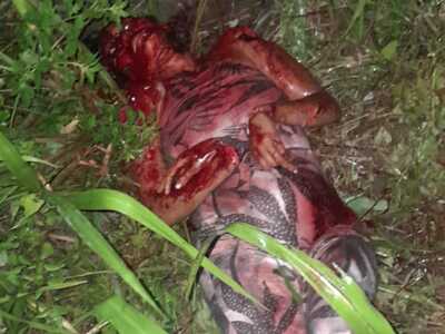 Several Victims of Murder