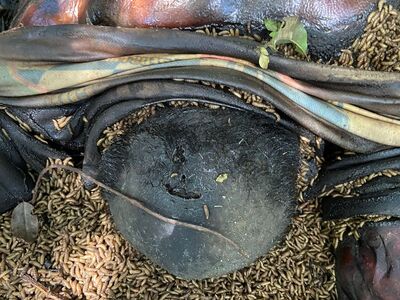 Pictures of murder victims