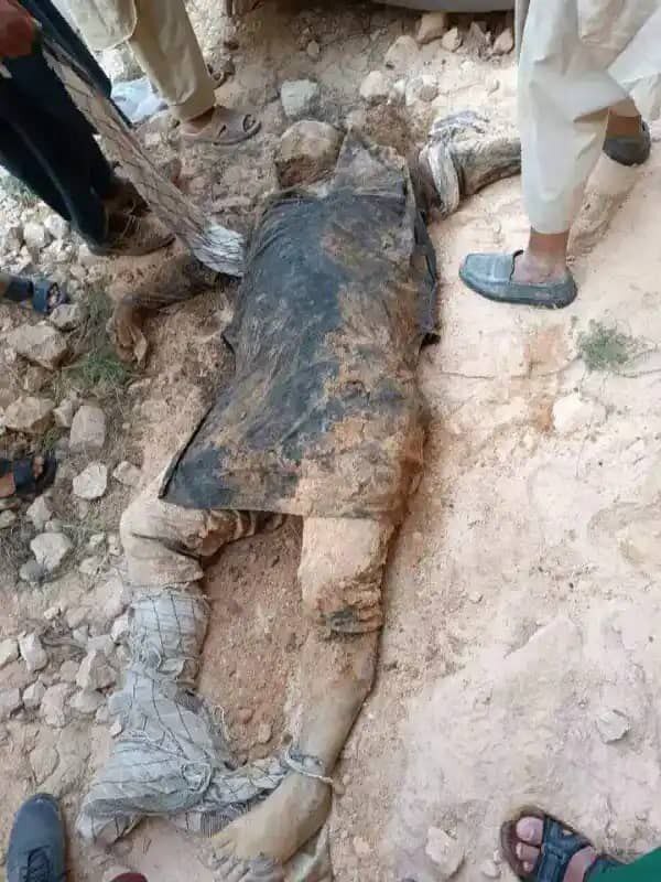 RANDOM GORE PICTURES FROM MURDER TO SUICIDE