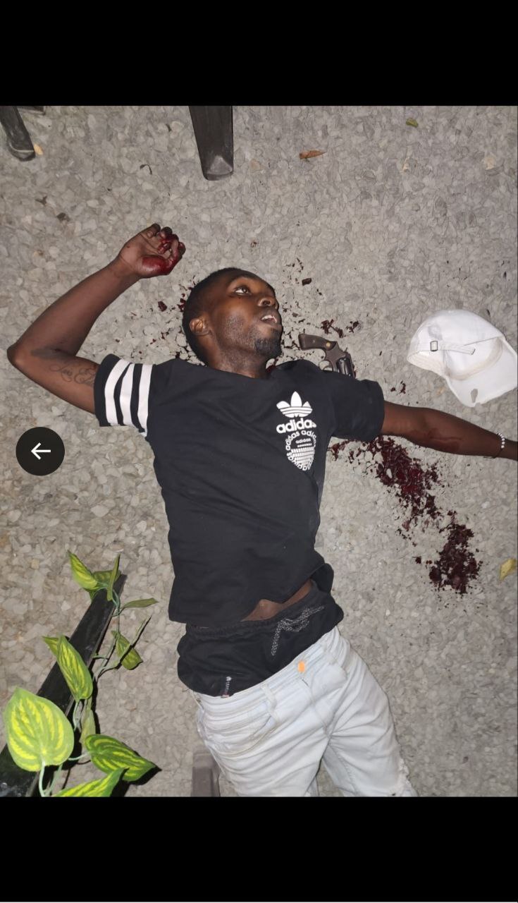 RANDOM GORE PICTURES FROM MURDER TO SUICIDE