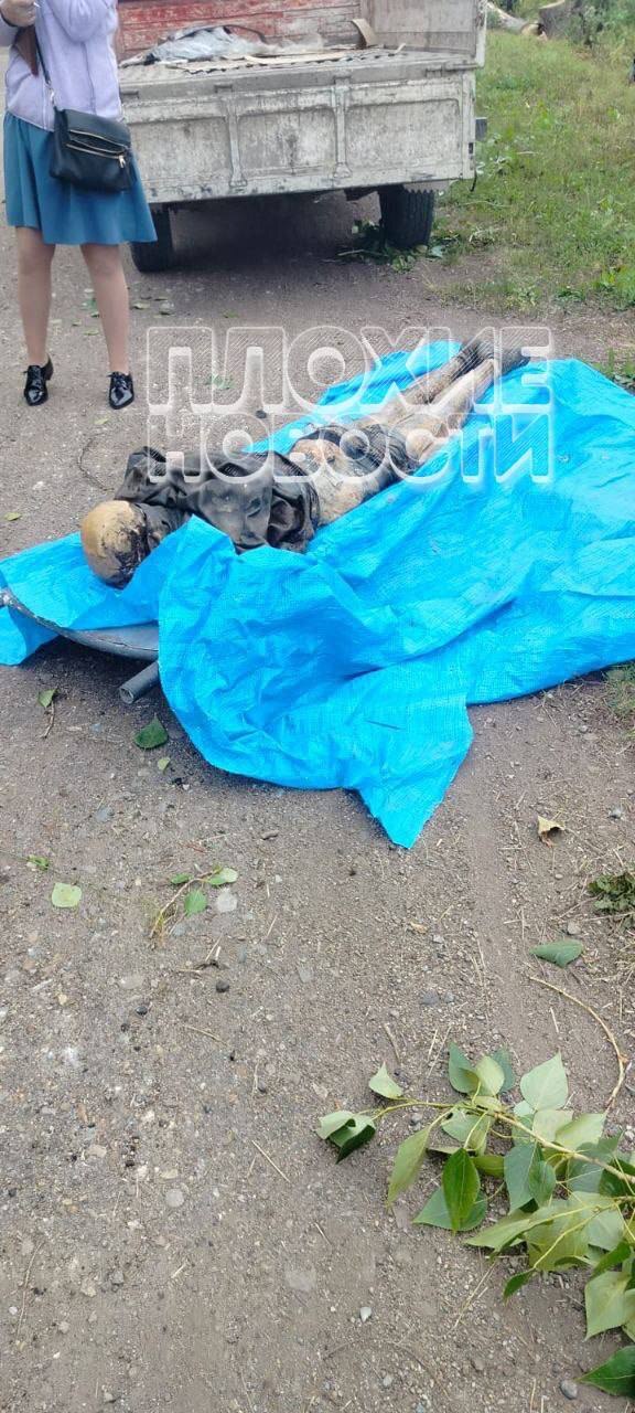 RANDOM GORE PICTURES FROM MURDER TO SUICIDE