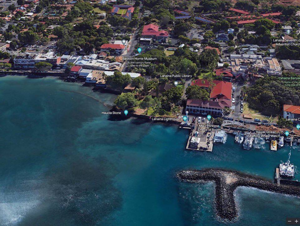 RANDOM GORE PICTURES FROM MURDER TO SUICIDE