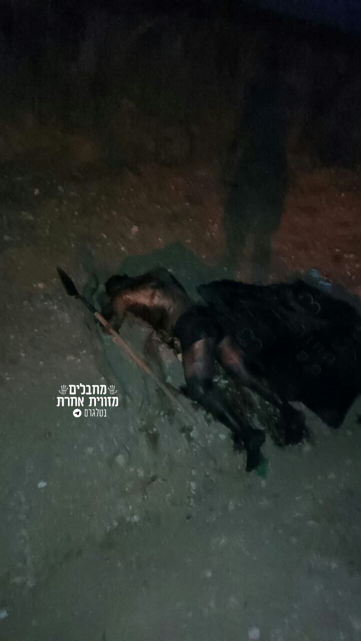 MULTIPLE DEAD PICTURES FROM THE WARZONE IN GAZA
