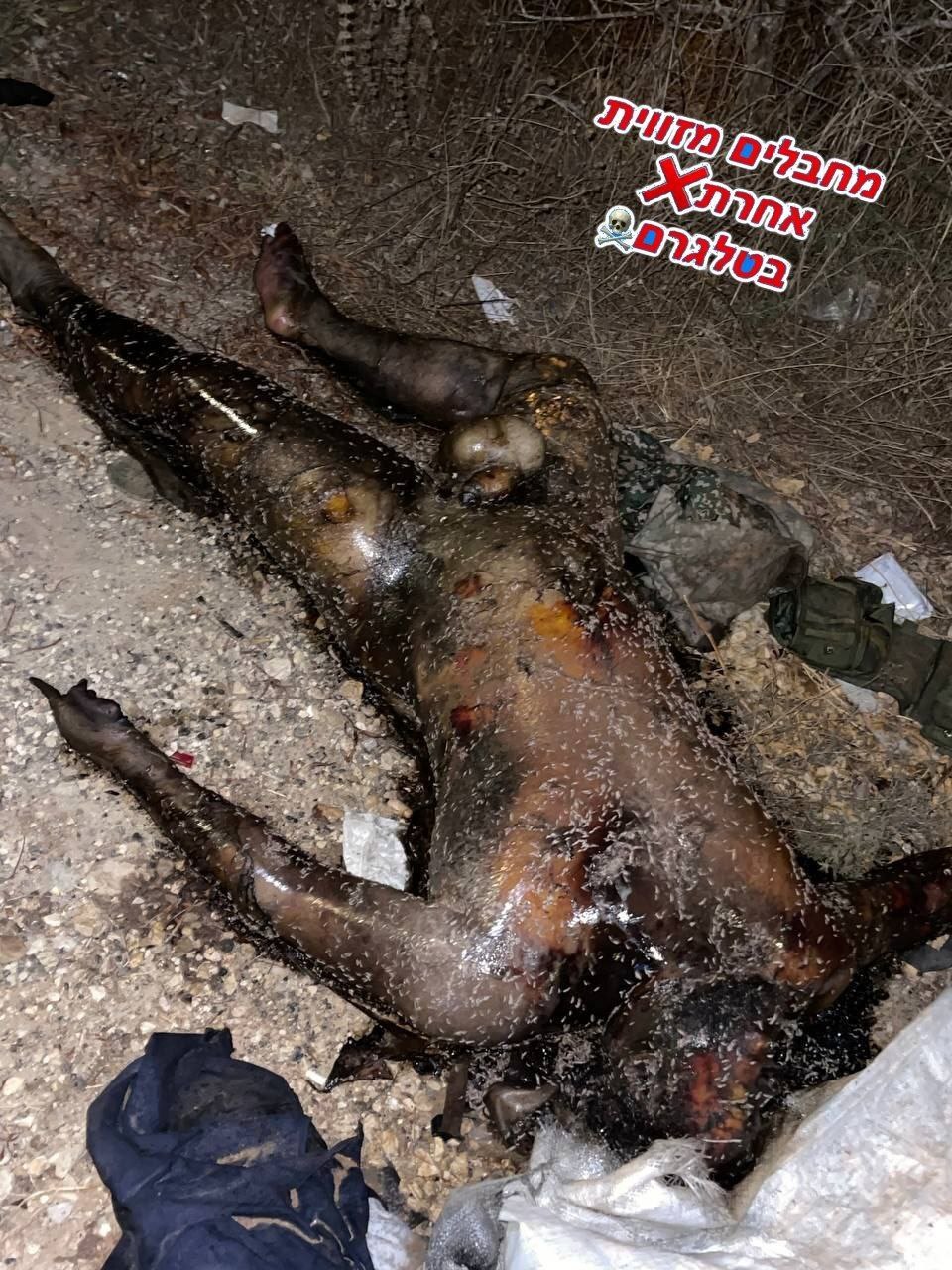 MULTIPLE DEAD PICTURES FROM THE WARZONE IN GAZA