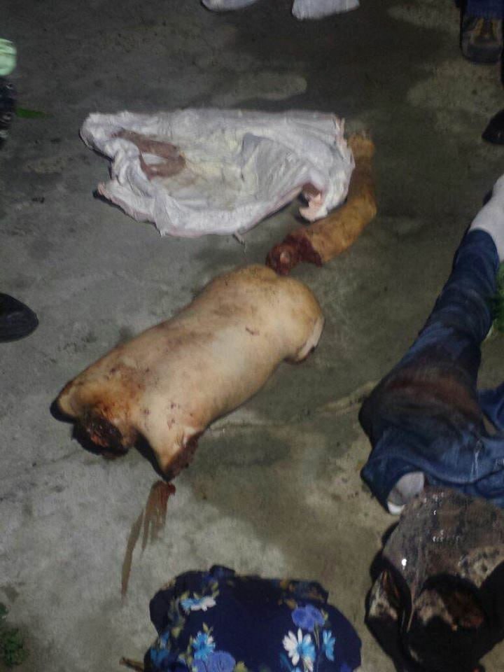 ¿¿¿¿ MEGA GORE PICTURES DROP ¿¿¿¿