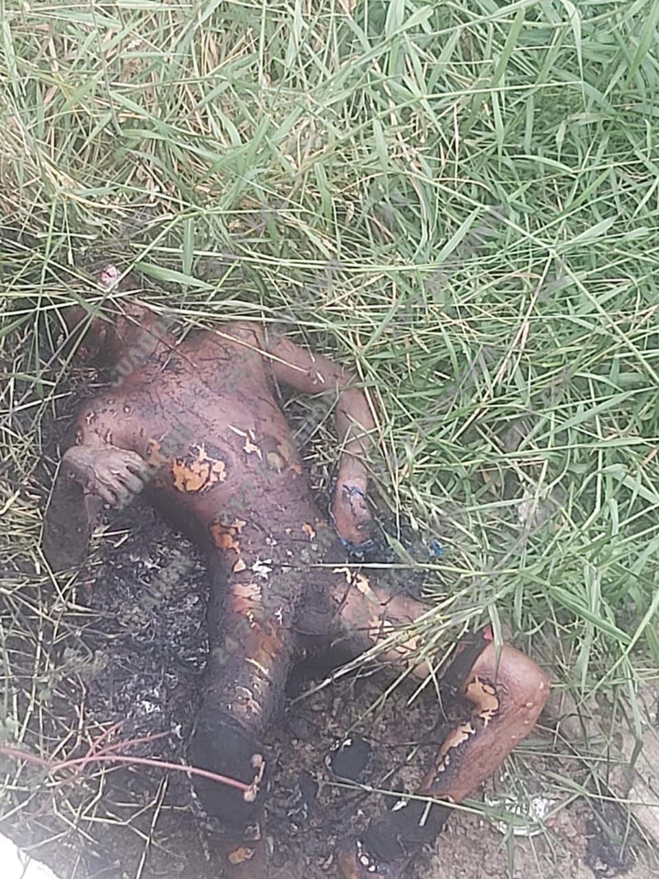 ¿¿¿¿ MEGA GORE PICTURES DROP ¿¿¿¿