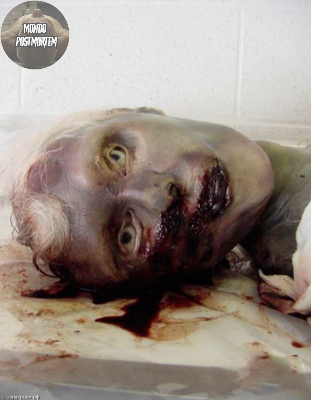 ¿¿¿¿ MEGA GORE PICTURES DROP ¿¿¿¿