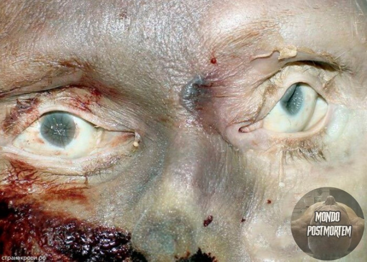 ¿¿¿¿ MEGA GORE PICTURES DROP ¿¿¿¿