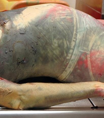 ¿¿¿¿ MEGA GORE PICTURES DROP ¿¿¿¿