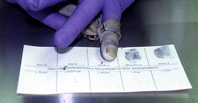 ¿¿¿¿ MEGA GORE PICTURES DROP ¿¿¿¿