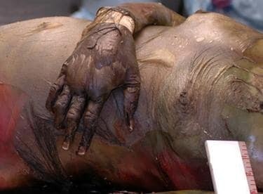 ¿¿¿¿ MEGA GORE PICTURES DROP ¿¿¿¿