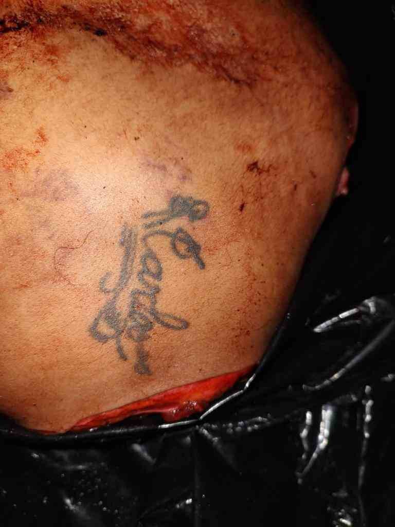 ¿¿¿¿ MEGA GORE PICTURES DROP ¿¿¿¿