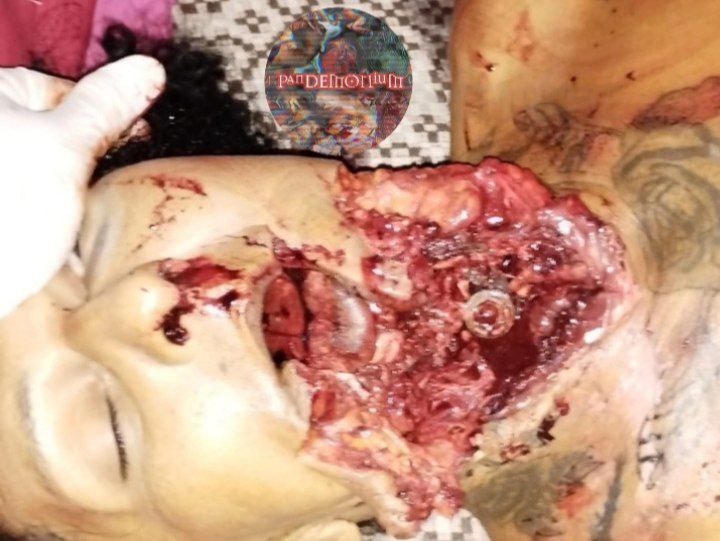 ¿¿¿¿ MEGA GORE PICTURES DROP ¿¿¿¿