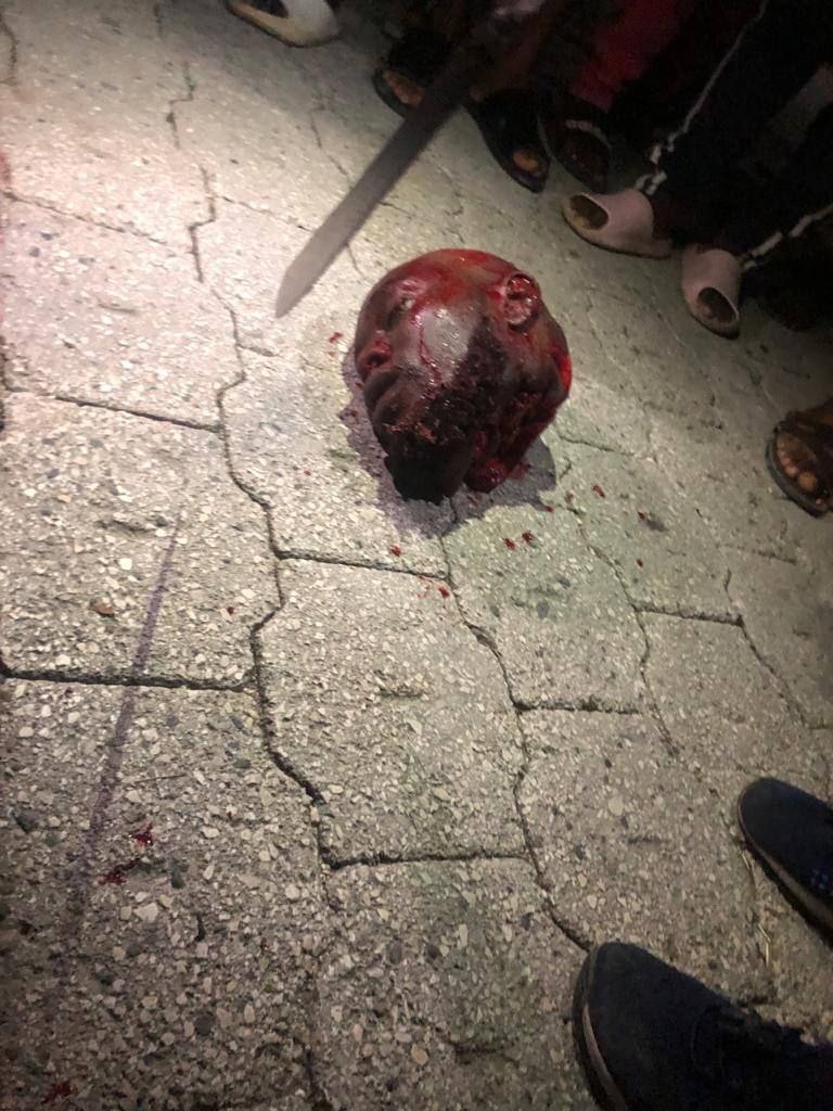 ¿¿¿¿ MEGA GORE PICTURES DROP ¿¿¿¿