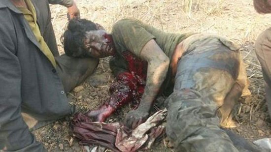 ¿¿¿¿ MEGA GORE PICTURES DROP ¿¿¿¿