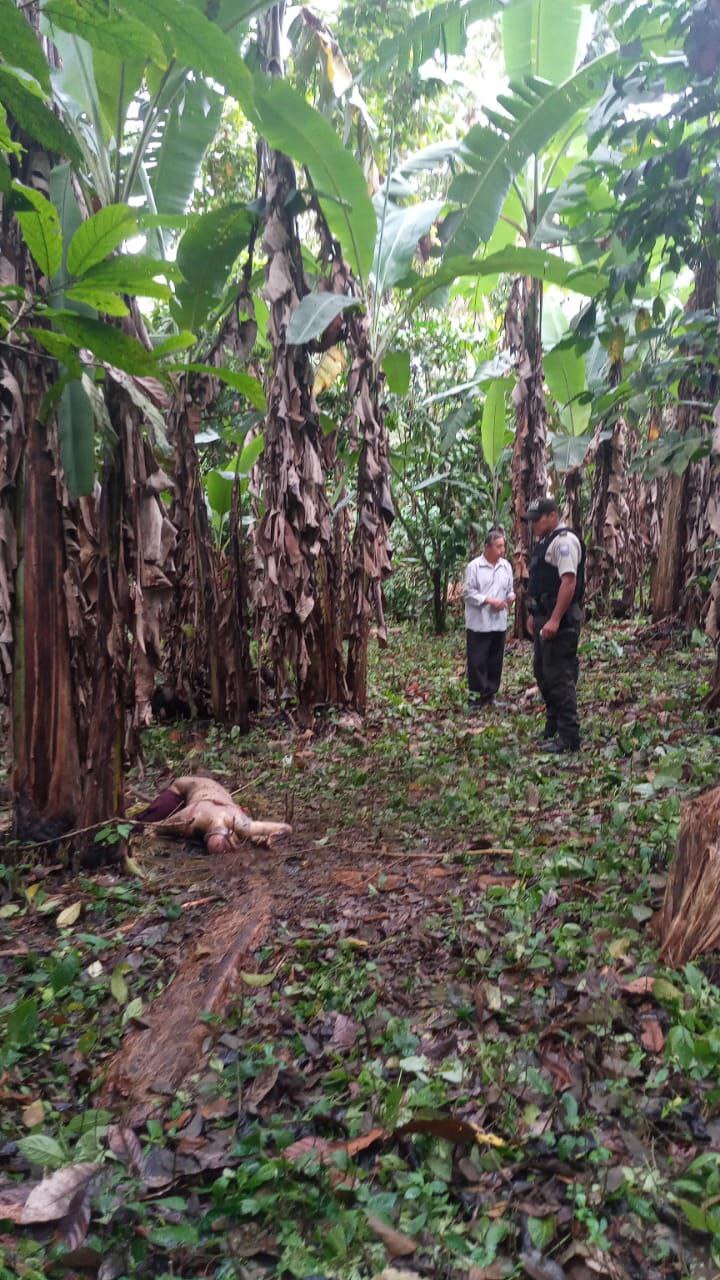 Female Body Found, in the Echeandia canton,