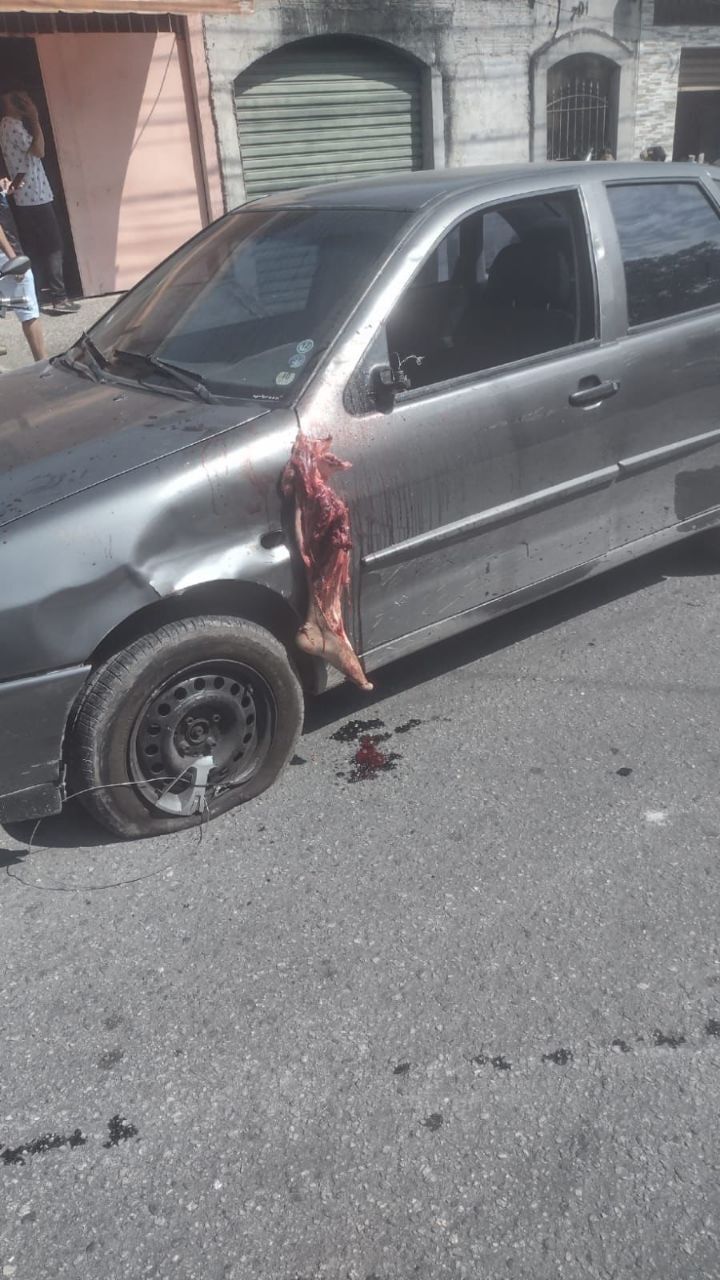 What the actual fk…