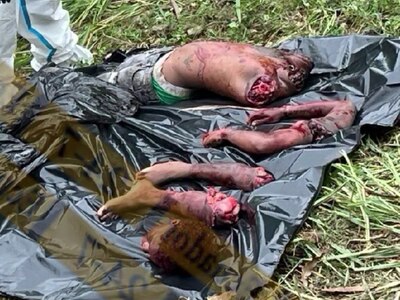 Dismembered Grim Find