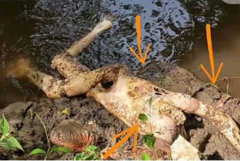 25-Year-Old Man Gets Found Killed On Right Bank Of River