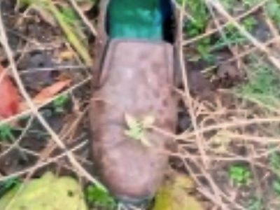 Decomposed Corpse Gets Found Hanged in Woods