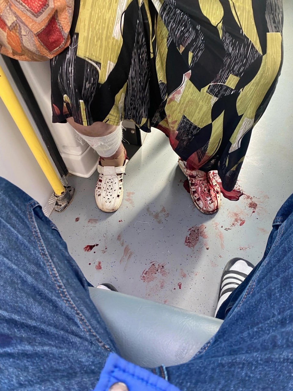 Don't Trust Stray Dogs