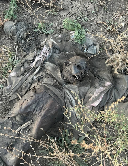 9 Ukrainians serving as fertilizer.