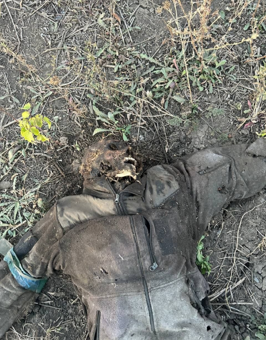 9 Ukrainians serving as fertilizer.