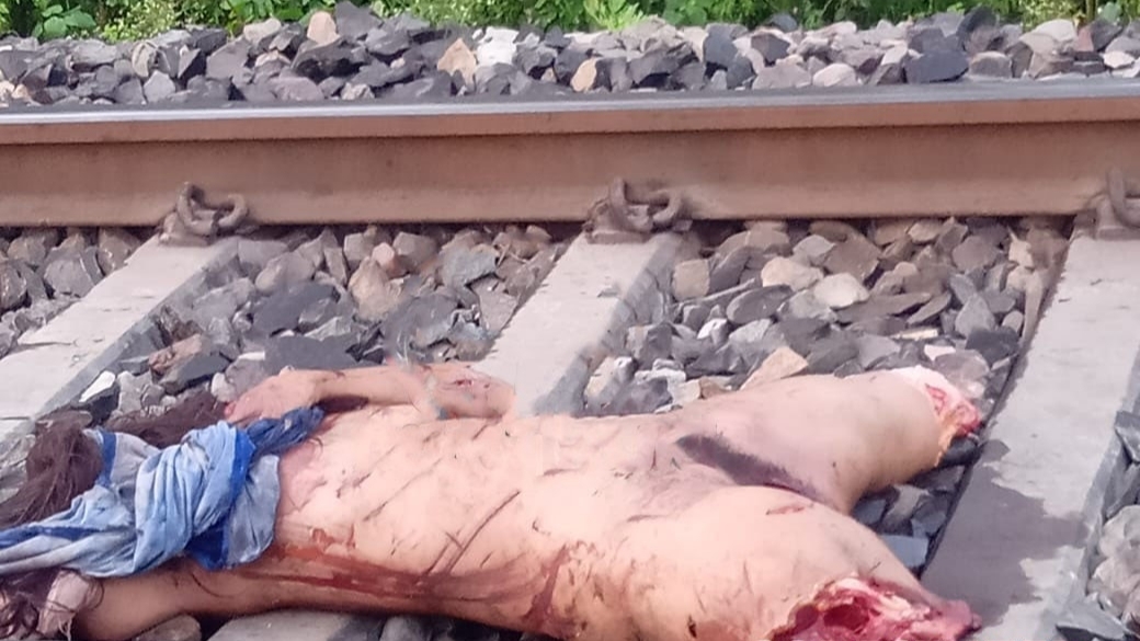 Indian female crushed by train