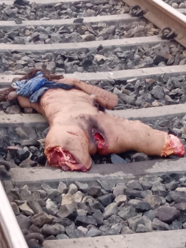Indian female crushed by train