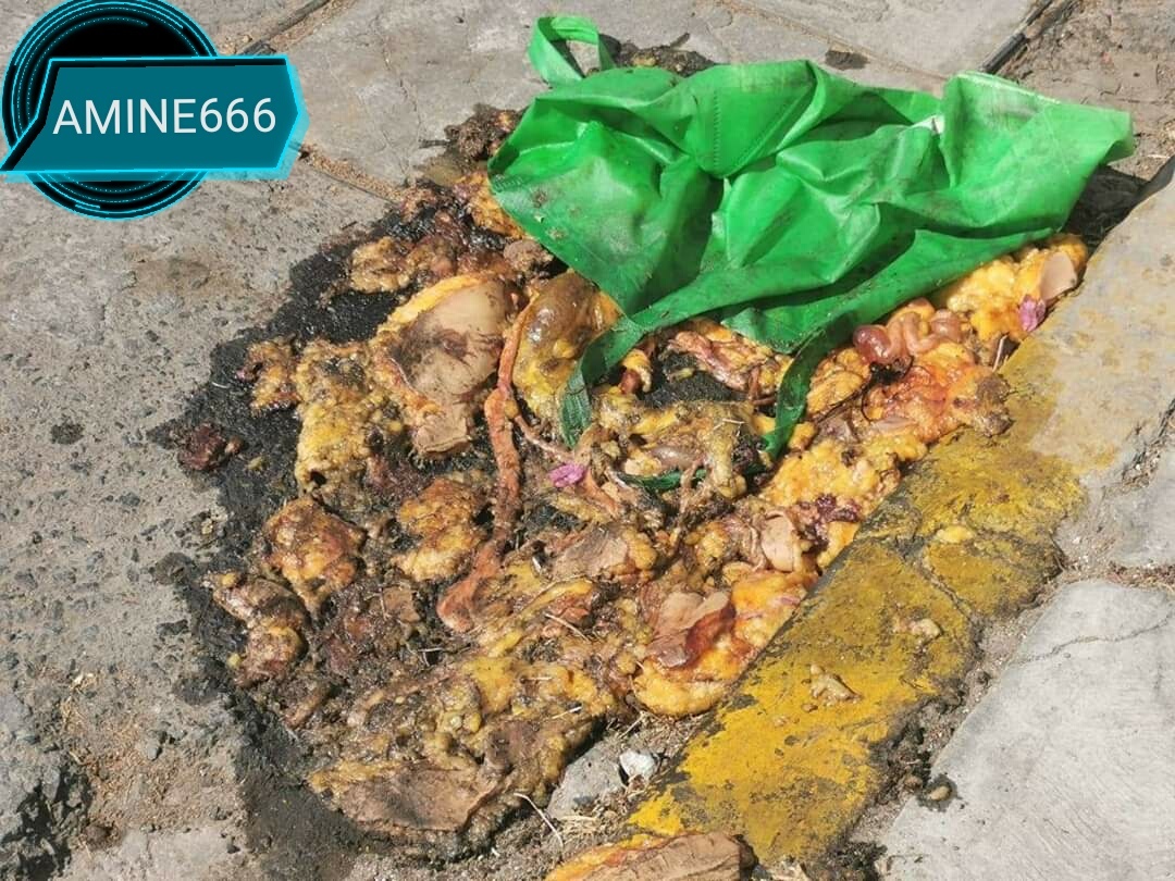 Mexican Woman Skinned and Viscerated by Sugar Daddy