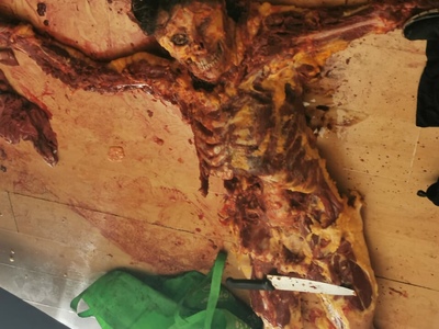 Mexican Woman Skinned and Viscerated by Sugar Daddy