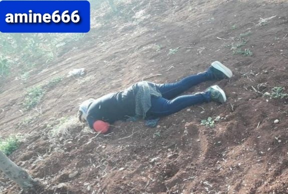 16-year-old Kurdish Girl, Killed by Turkish Mercenaries.