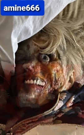 Old Woman Dies in Her Bed So Her Starving Dog Eats Her Face