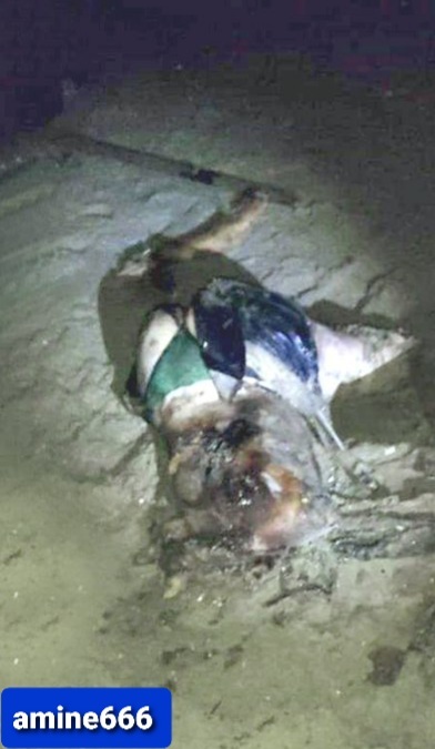 Cartel Shows No Mercy to Pretty Girl.