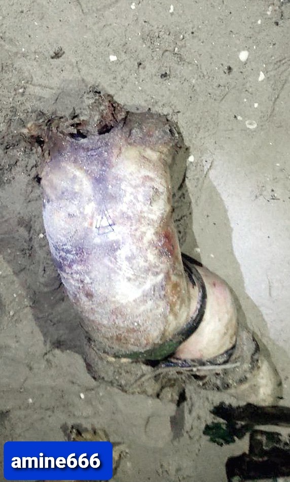 Cartel Shows No Mercy to Pretty Girl.