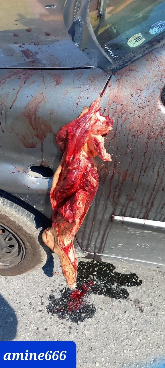 Motorcyclist lost his leg and still alive