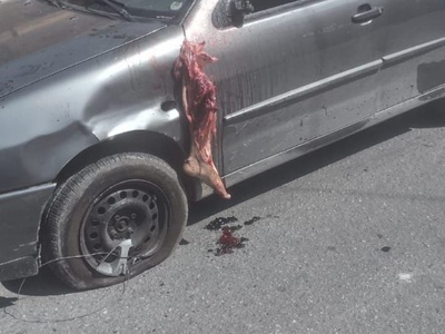 Motorcyclist lost his leg and still alive