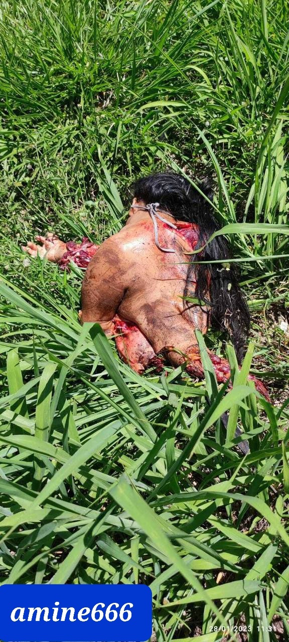 Couple horrifically killed in brutal accident wife split in half