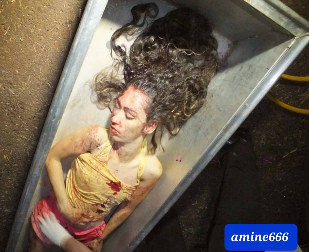 Tranny Giving Blowjob Dies in Horrific Crash