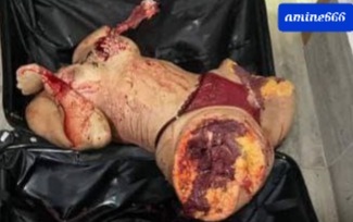 Sexy Woman Totally Dismembered by her Ex...