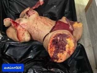 Sexy Woman Totally Dismembered by her Ex...