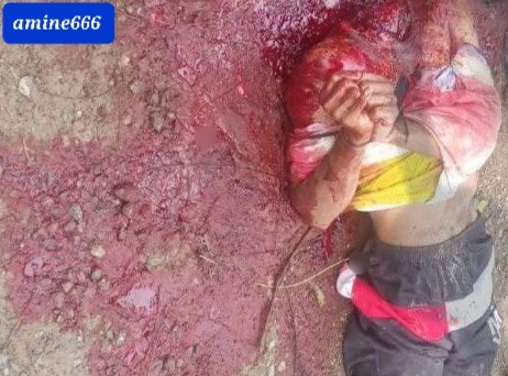 Decapitated head of gang member found in forest