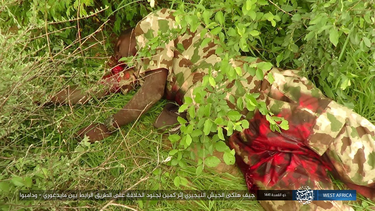 ambush of the caliphate soldiers in a convoy of nigerian army vehicles (Pictures)