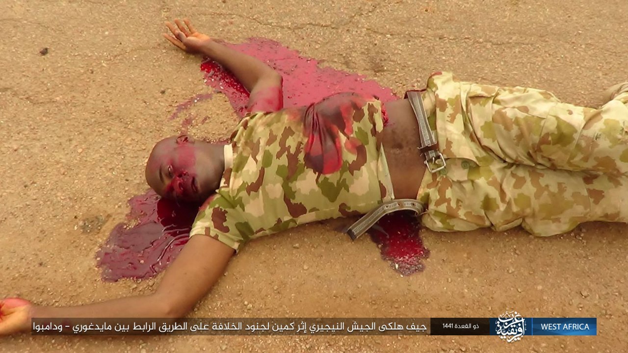 ambush of the caliphate soldiers in a convoy of nigerian army vehicles (Pictures)