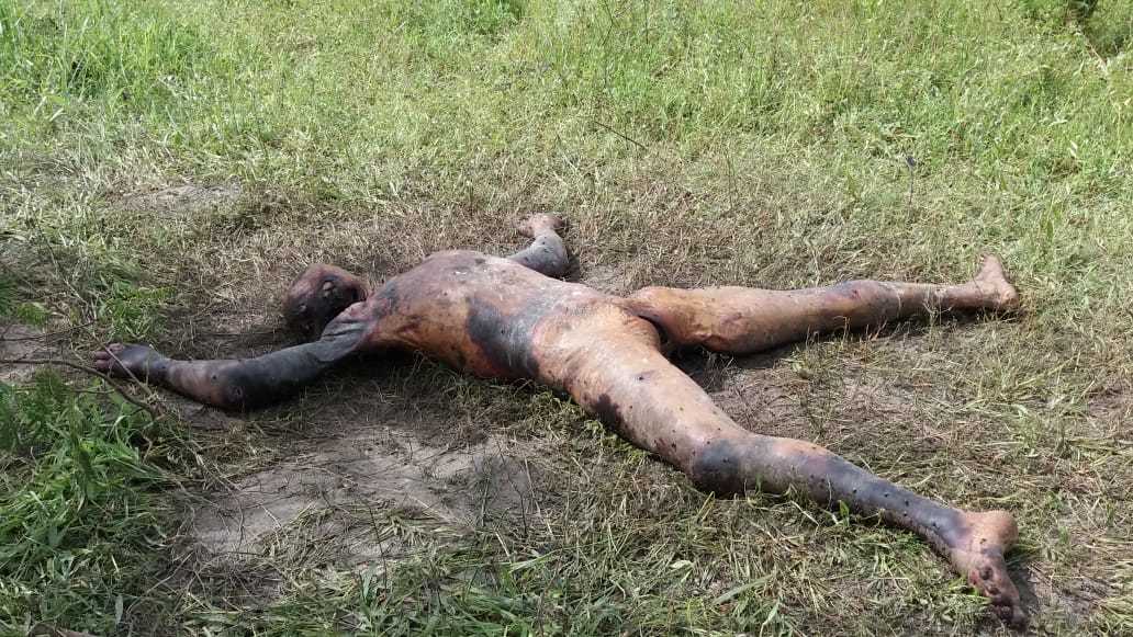 Corpse with burns and brutalized