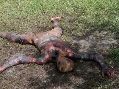 Corpse with burns and brutalized