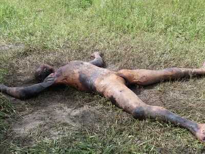 Corpse with burns and brutalized