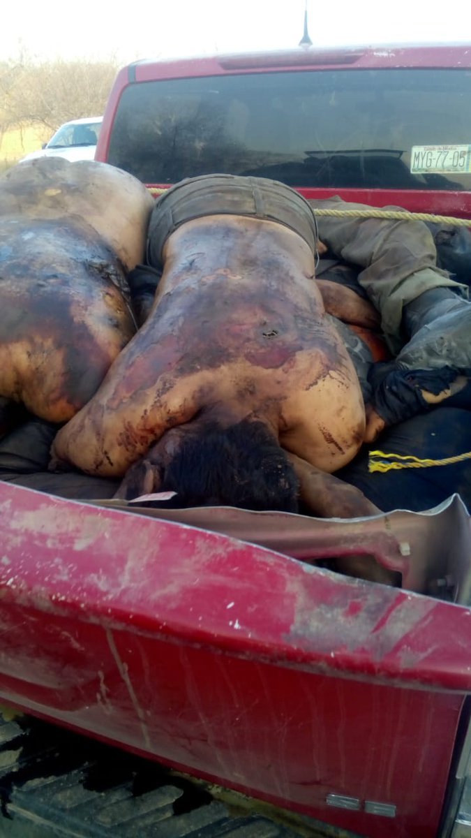 THE MICHOACAN FAMILY