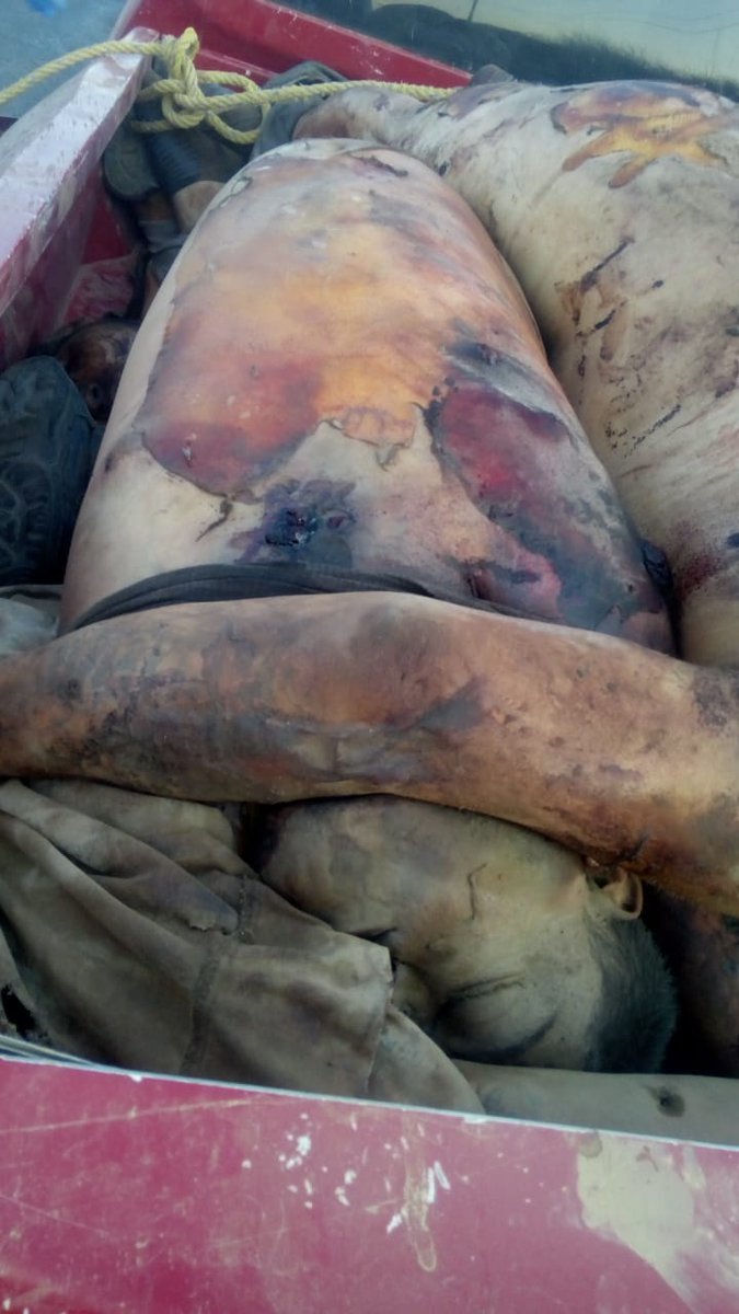 THE MICHOACAN FAMILY