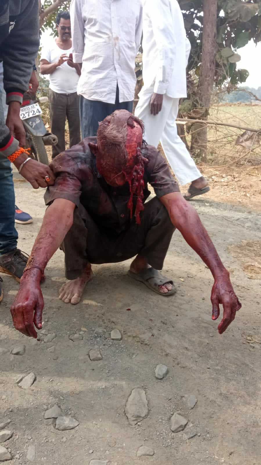 Guys Face Destroyed By Tiger (Photos)